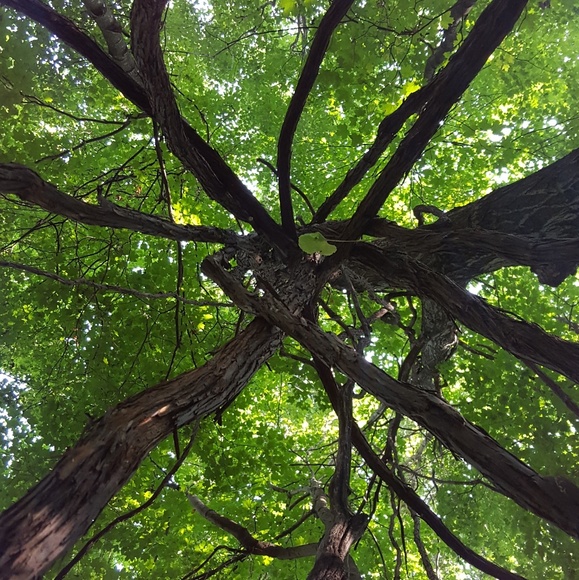 Hey there! My name is Sara. - Picture 3 of 4